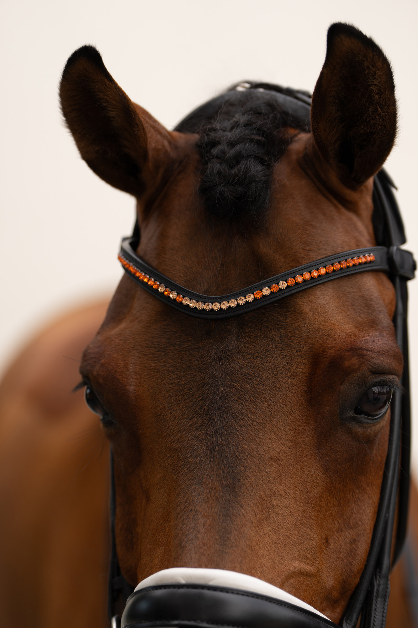Equestrian Stockholm Frontriem Faded 6mm