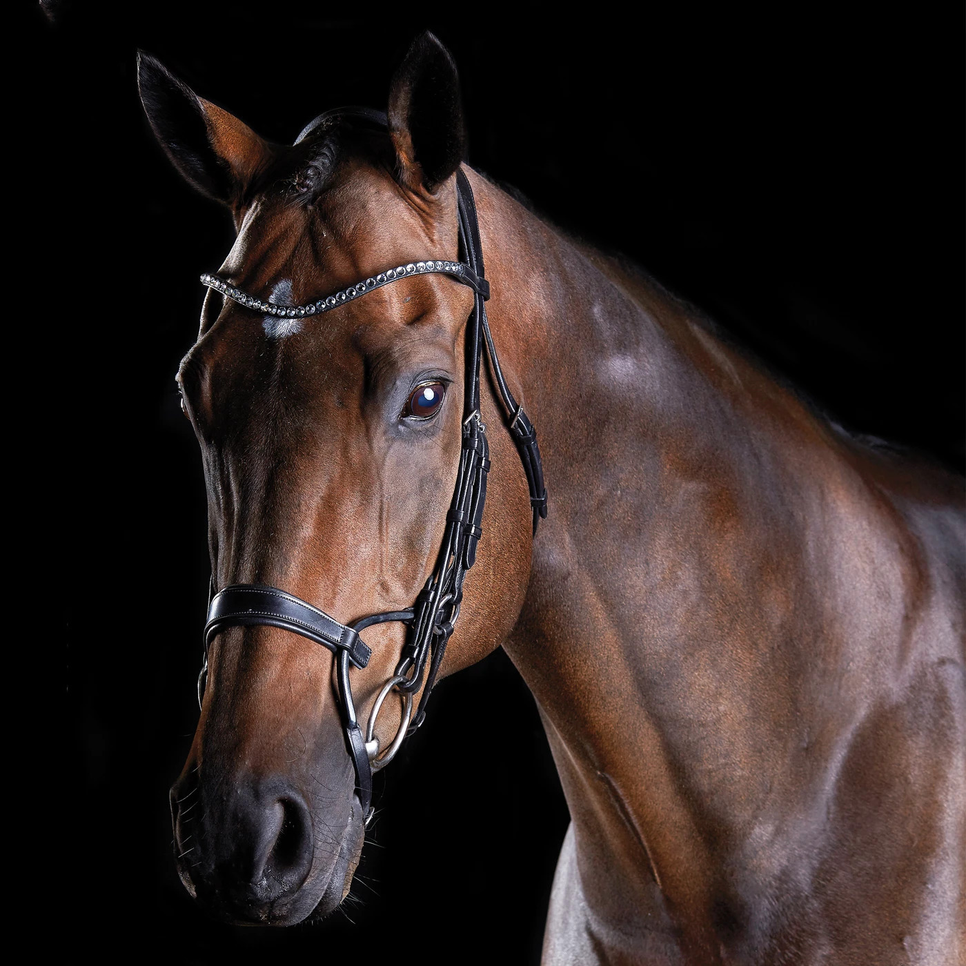 Collegiate ComFiTec Crystal Bridle 