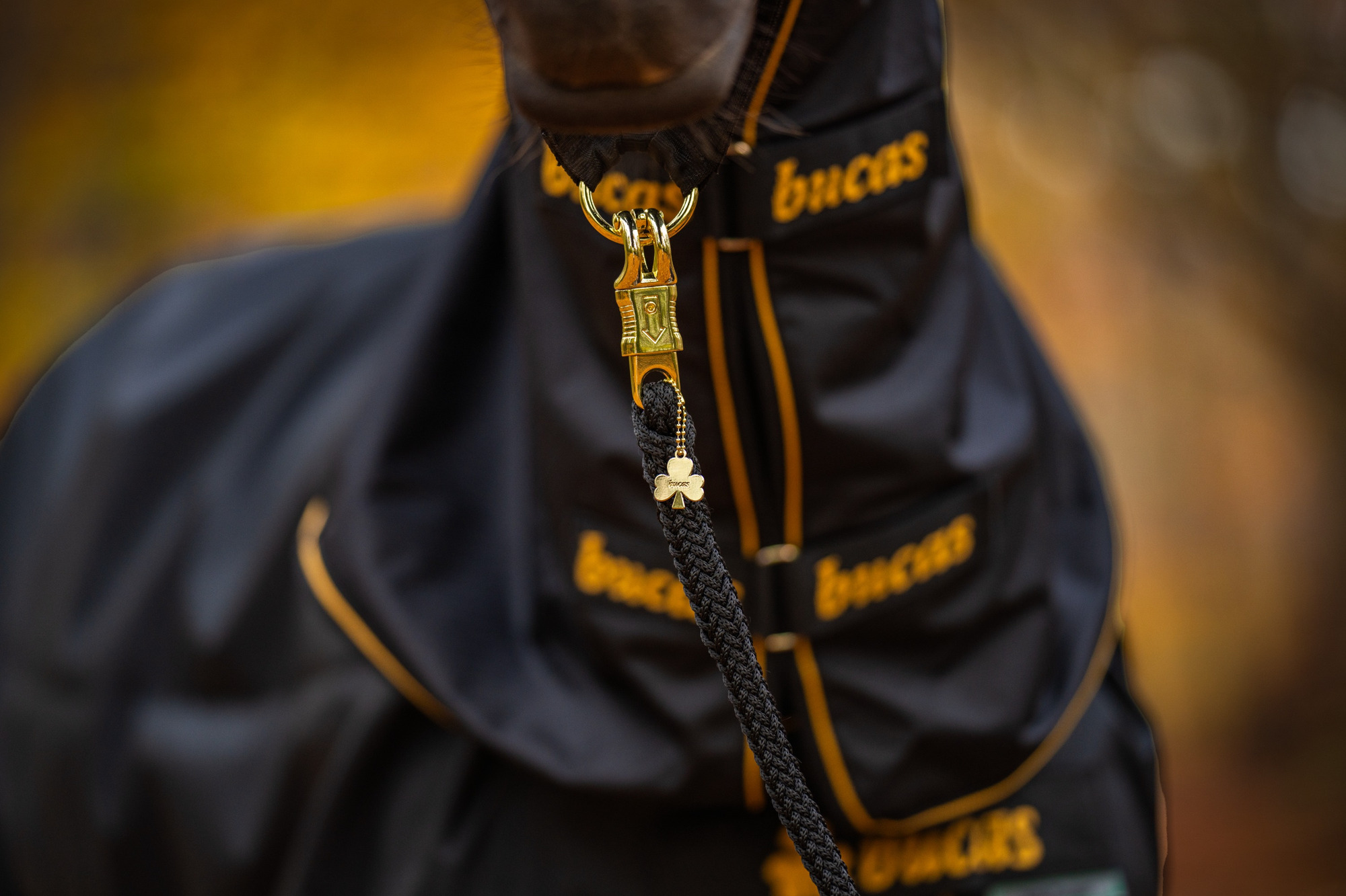 Bucas Haltertouw Comfort Paniekhaak