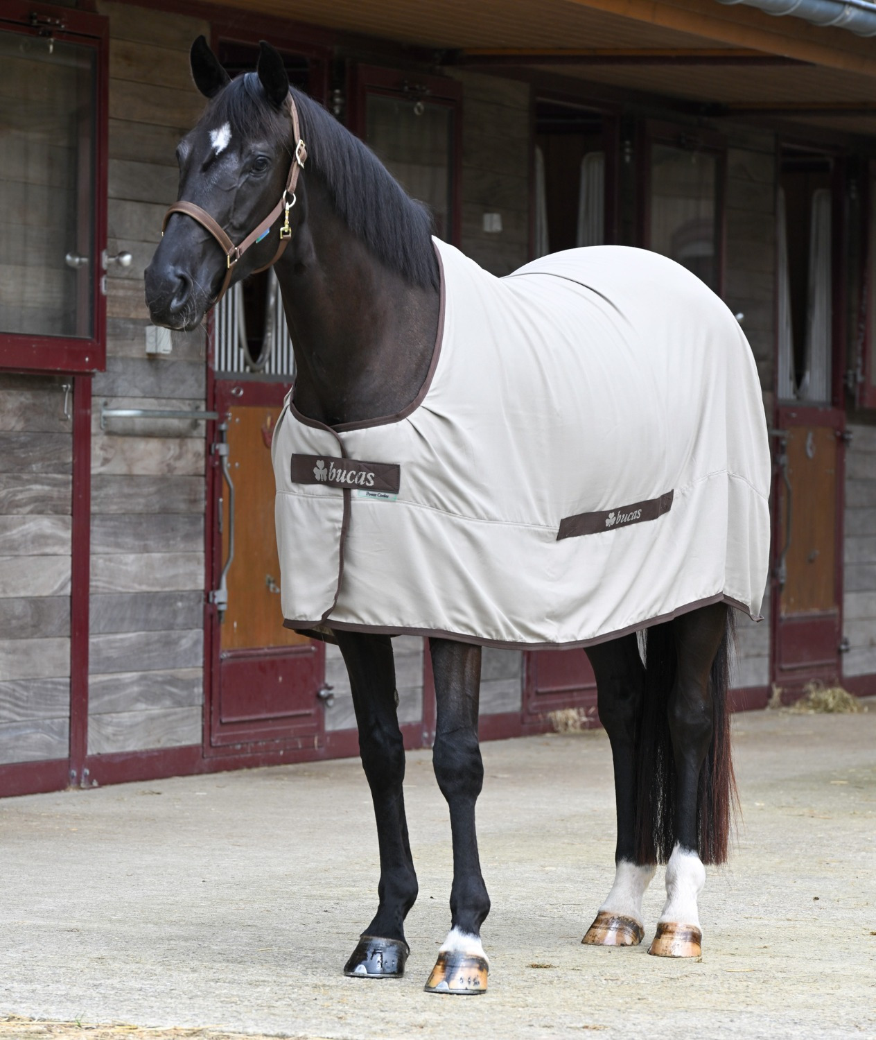 Bucas Cool Sheet Linen