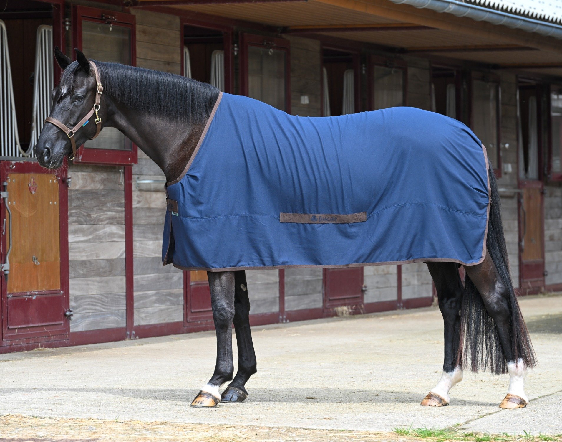 Bucas Cool Sheet Linen