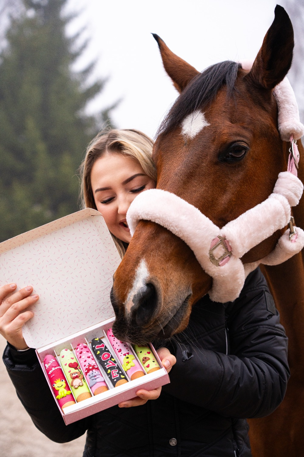 Candy Horse Love 2026 Sticks with icing
