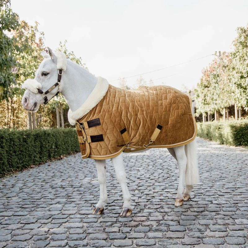 Kentucky Show Rug Velvet 160g Tiny