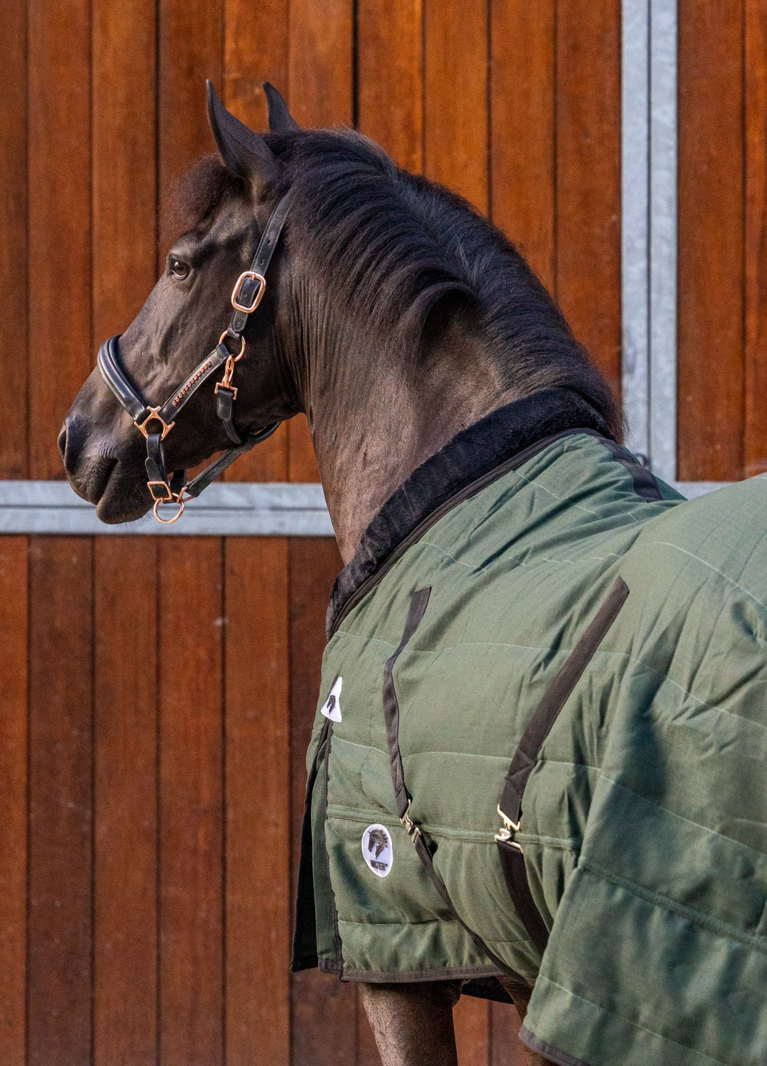 MASTER Stable Rug Deep Forest 100g