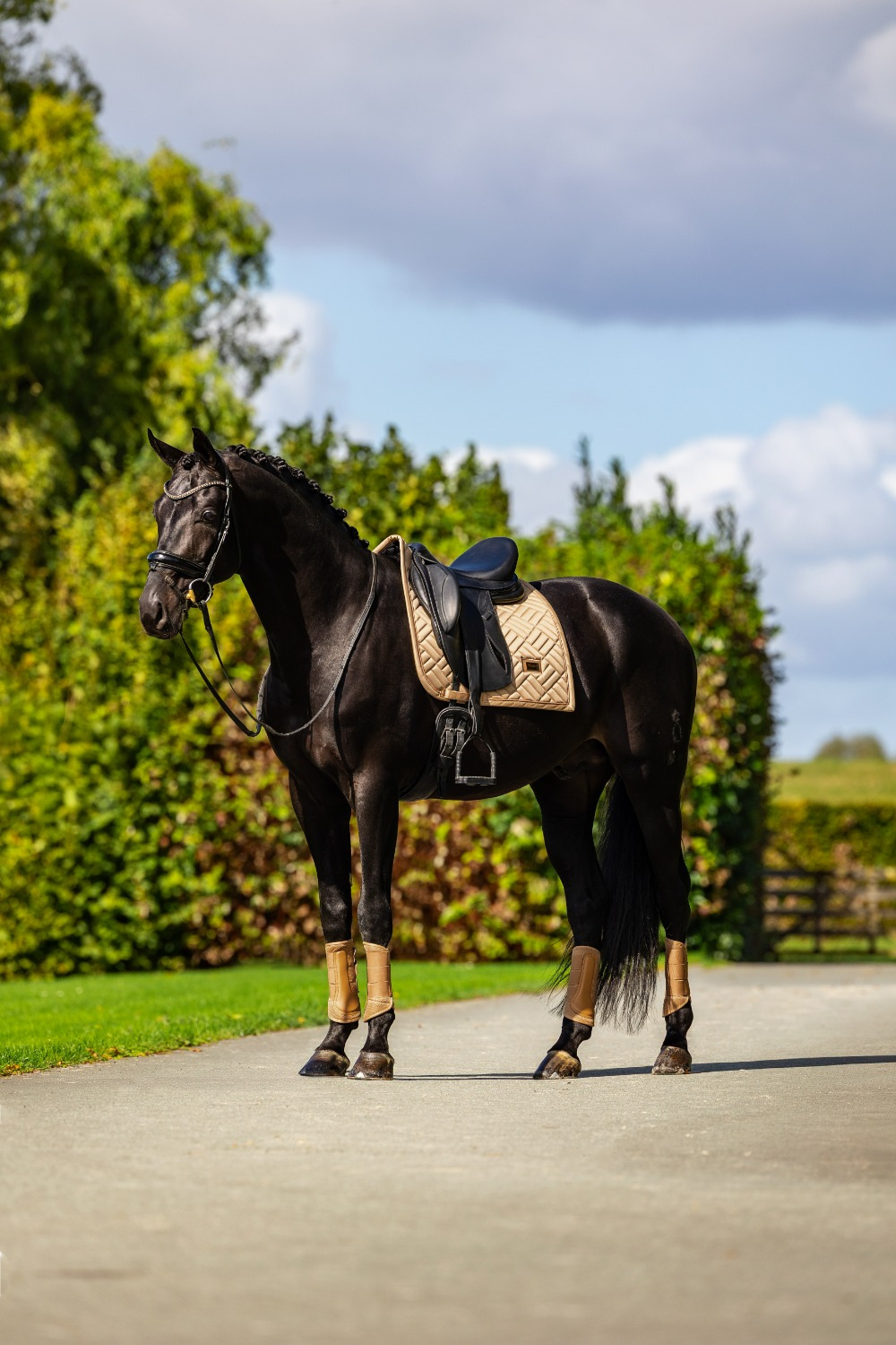 Equestrian Stockholm Midsummer Glow Modern Dressage Pad