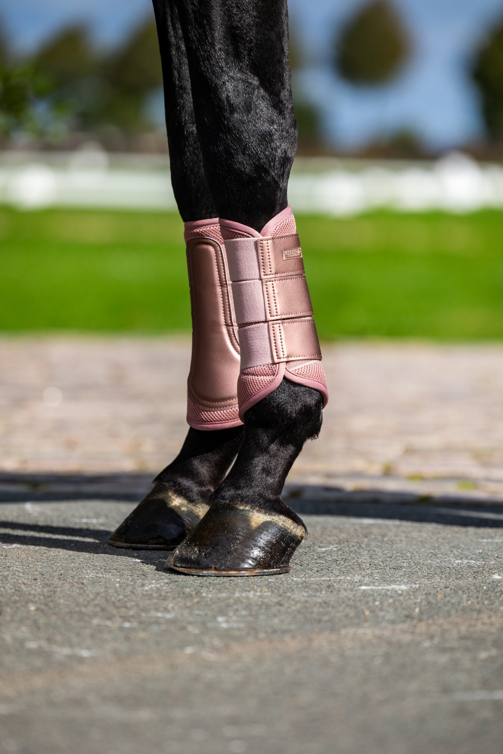 Equestrian Stockholm Midsummer Blush Classic Mesh Brushing Boots