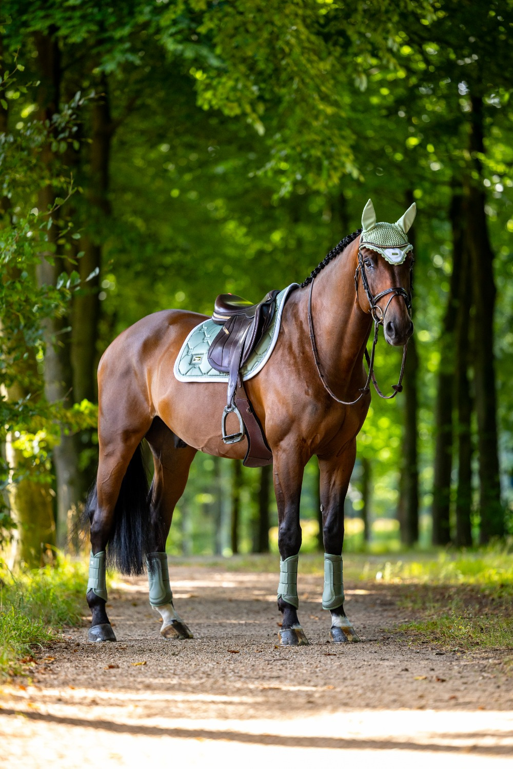 Equestrian Stockholm Pistachio White earnet