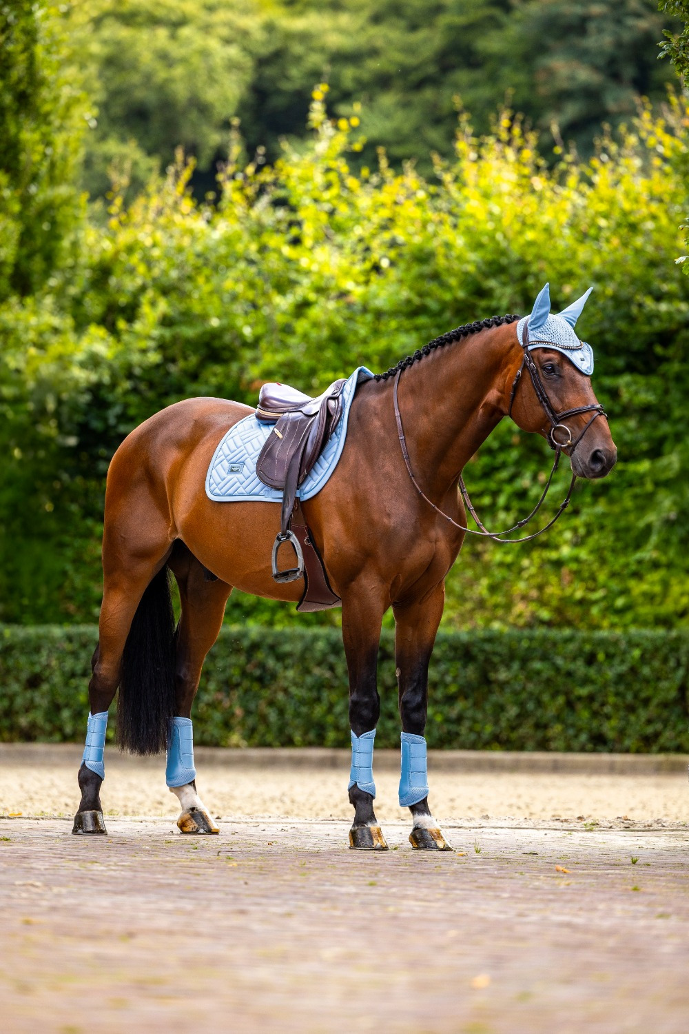 Equestrian Stockholm Midsummer Blush Modern Ear Bonnet