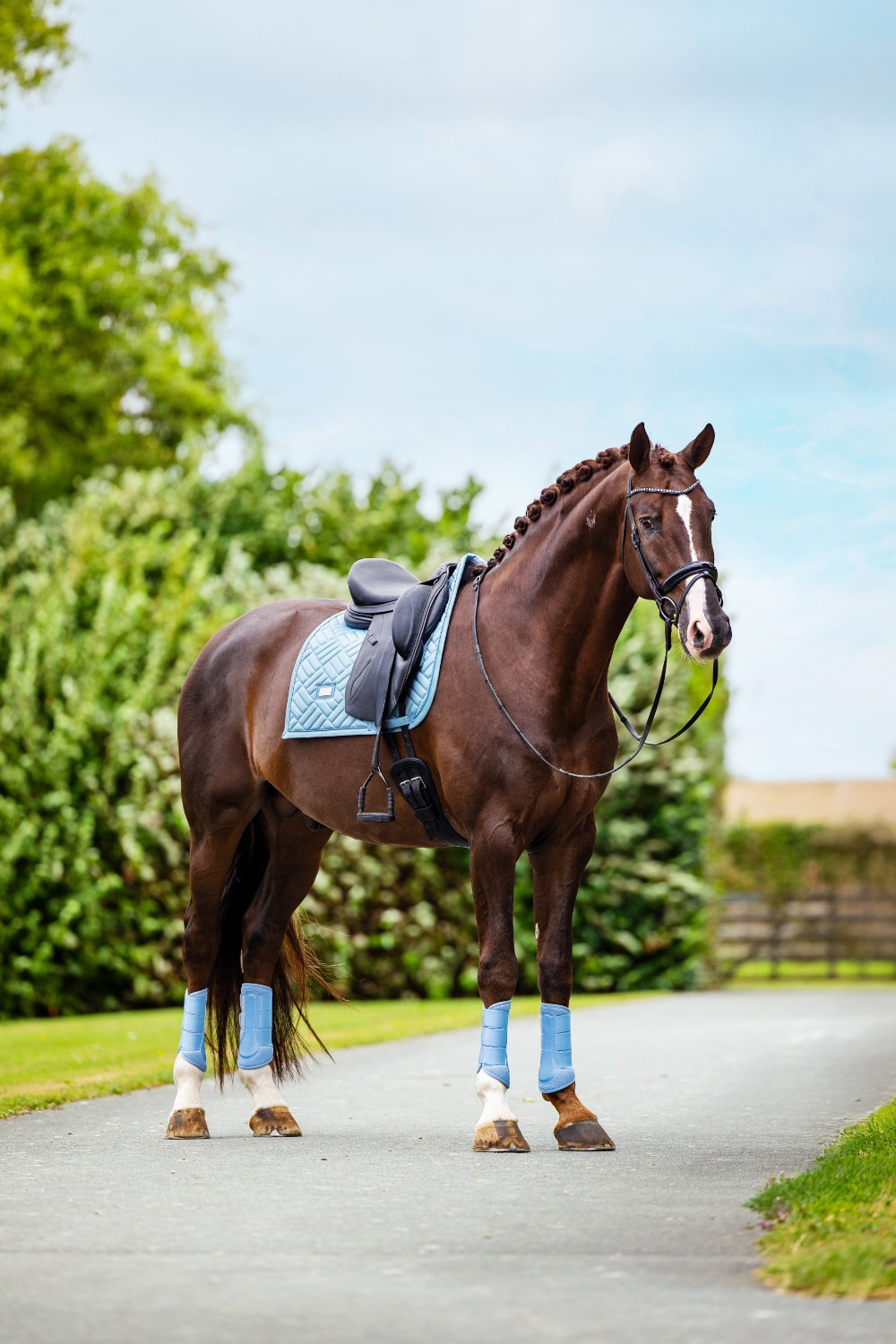 Equestrian Stockholm Midsummer Blue Modern Dressage Pad