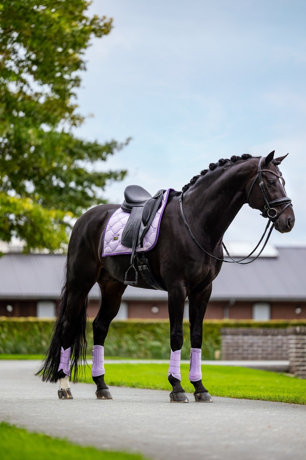 Equestrian Stockholm Lavender Dressage Saddle Pad