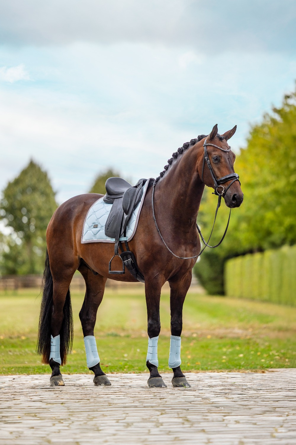 Equestrian Stockholm Ice Blue Dressage Saddle Pad