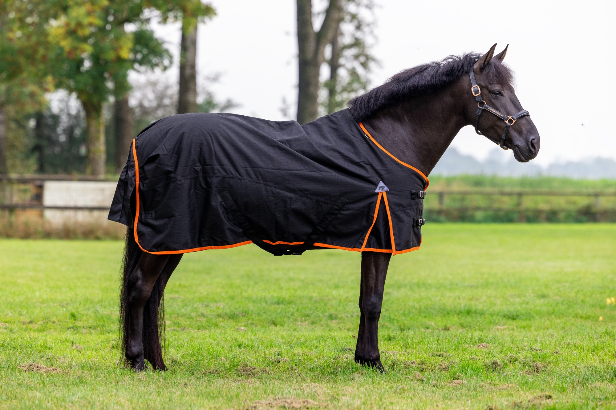 Master Winter Rug 600D 150g Black