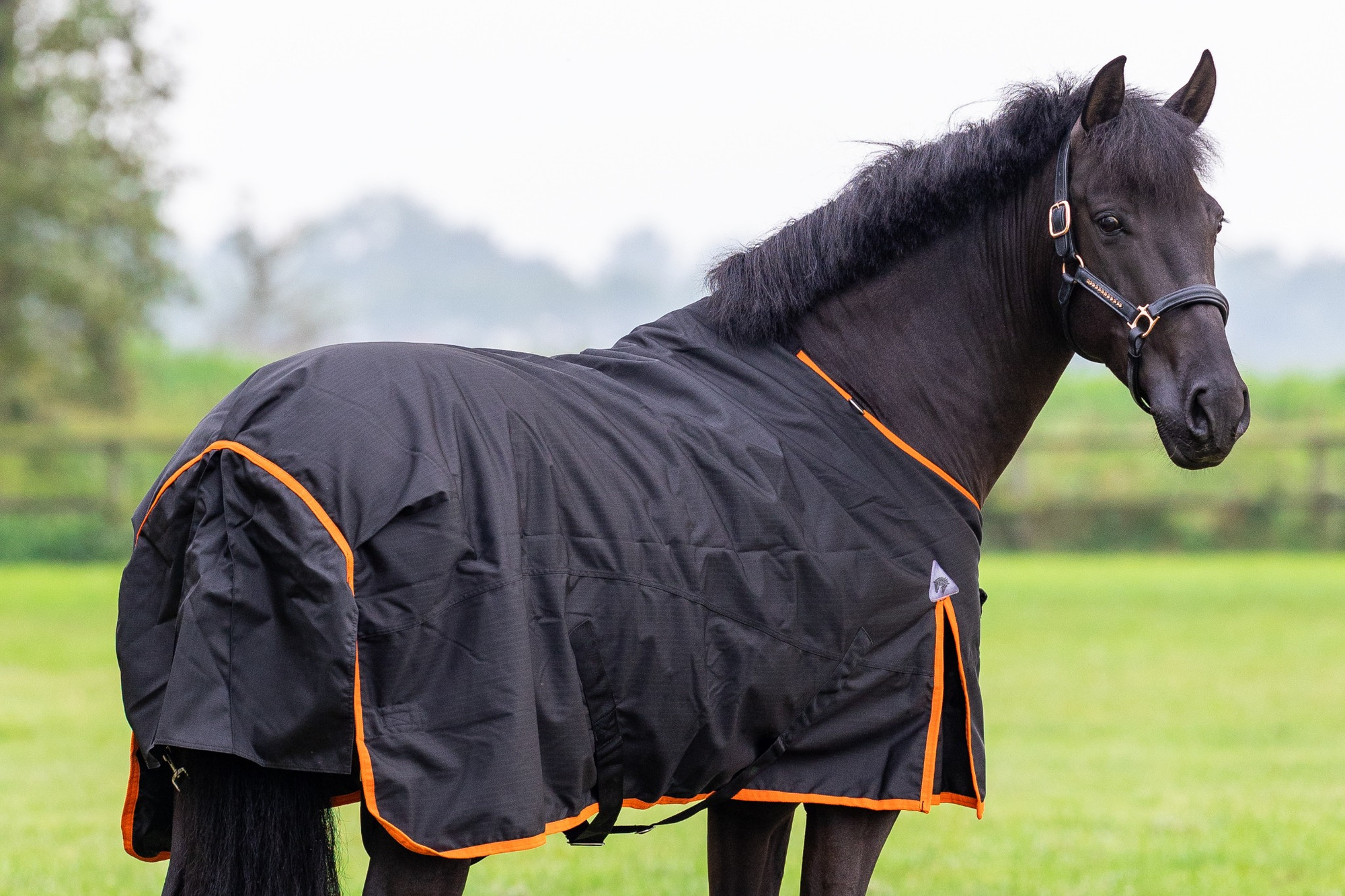 Master Winter Rug 600D 150g Black