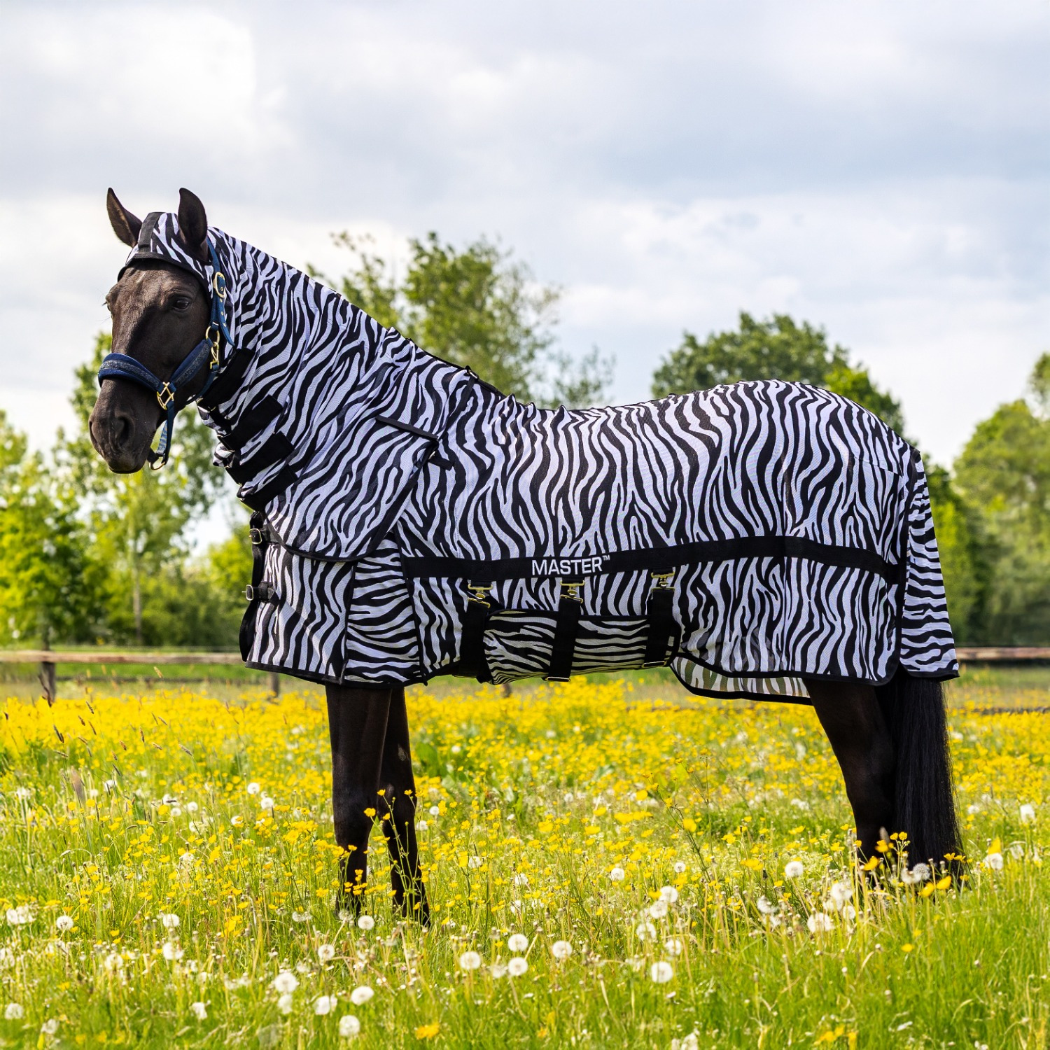 MASTER Zebra Fly Sheet with Detachable Neck Cover
