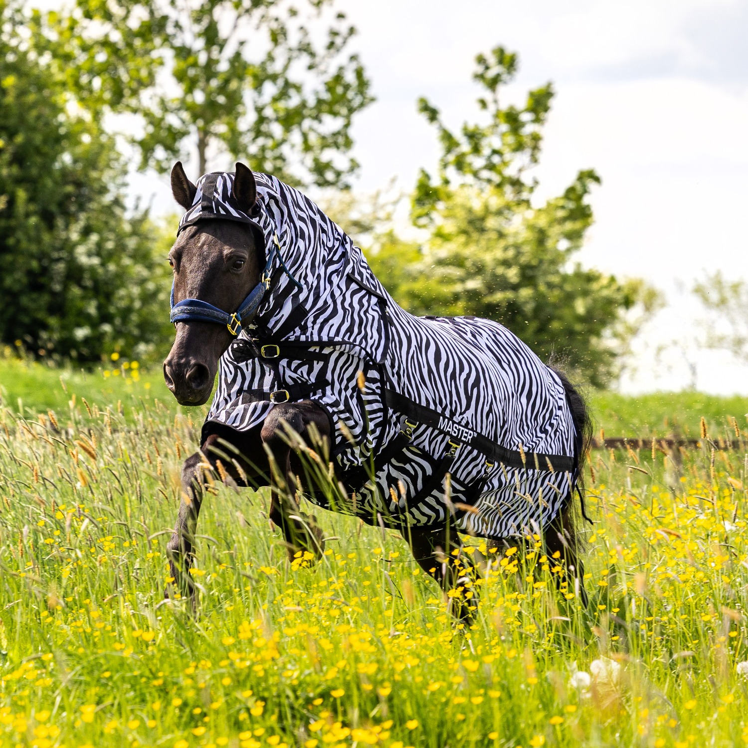 MASTER Zebra Fly Sheet with Detachable Neck Cover