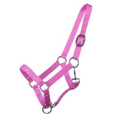 Q-essentials Yearling Halter