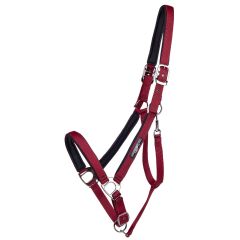 QHP Deluxe Halter Draft Horse