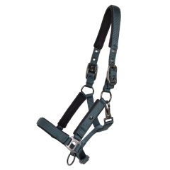 QHP Foal halter Deluxe