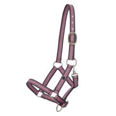 QHP SS26 Foal halter collection