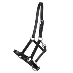 Q-Essentials Leather foal halter with clip
