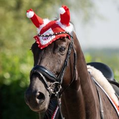 HB Earnet Christmas