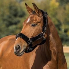 Horka Halter with Fleece Padding