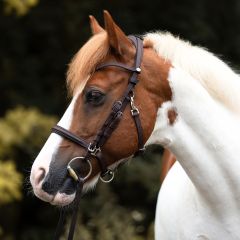 Kavalkade 2in1 Halter-Bridle Artemis