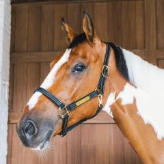 Kentucky Leather Halter Wellington