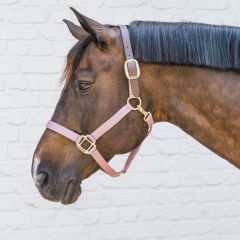 Kentucky Nylon Breakaway Halter