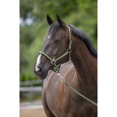Covalliero Nylon Halter Hippo