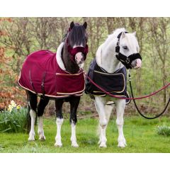 HB Showtime Harry et Hector Dutch Crown couverture de présentation petites tailles