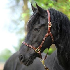 Kavalkade Tessa Braided Leather Halter