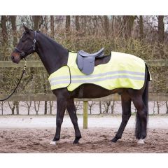 Harry's Horse Reflective Exercise Sheet