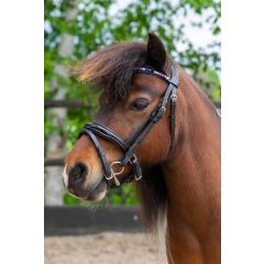 HB Showtime Bridon Petit Royal Petites tailles