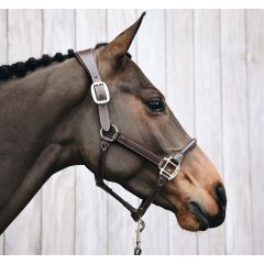 Kentucky Anatomic Halter