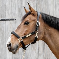 Kentucky Nylon Anatomical Halter
