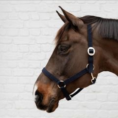 Kentucky Nylon Halter