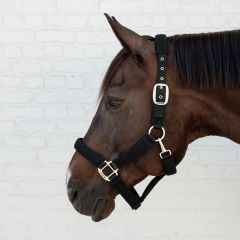 Kentucky 3D Mesh Halter