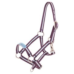 Premiere Fun Foal Halter