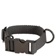 BR FW'24 Dog Collar