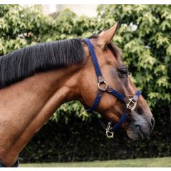 Kentucky Braided Nylon Halter