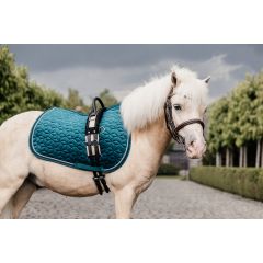 Kentucky Velvet Pony Dekje