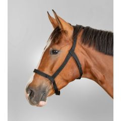 Waldhausen Pasture Halter