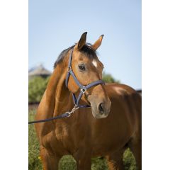 Equithème Glitter Halter and Lead Rope