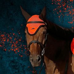 eQuick Ear Bonnet