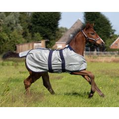 QHP Couverture anti-mouches pour poulain