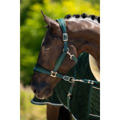 HB Showtime Velvet Halter Set