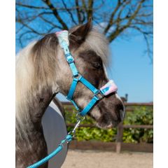 HB Halters Summer Vibes Small Sizes