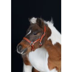 HB Showtime Leather Halter Little Sizes Cognac