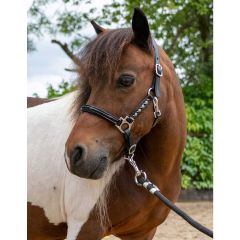 HB Showtime Leather Halter with Swarovski Rivets Little Sizes